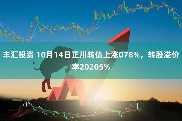 丰汇投资 10月14日正川转债上涨078%，转股溢价率20205%